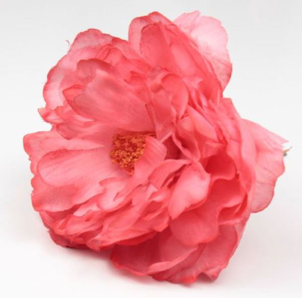 Peonia Sanlucar Fleurs flamenco. 12cm. Corail